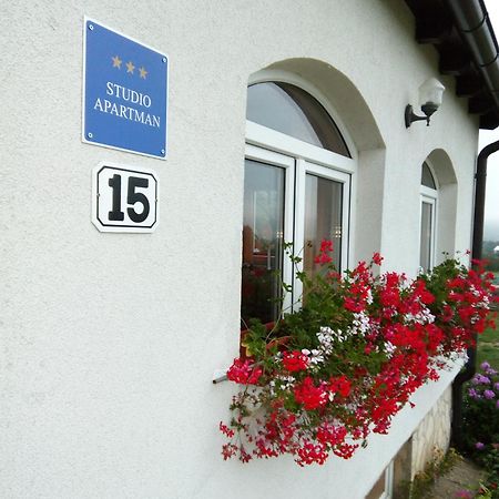 Apartments Zegarac House Korenica Extérieur photo