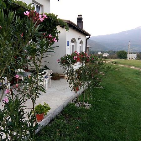 Apartments Zegarac House Korenica Extérieur photo