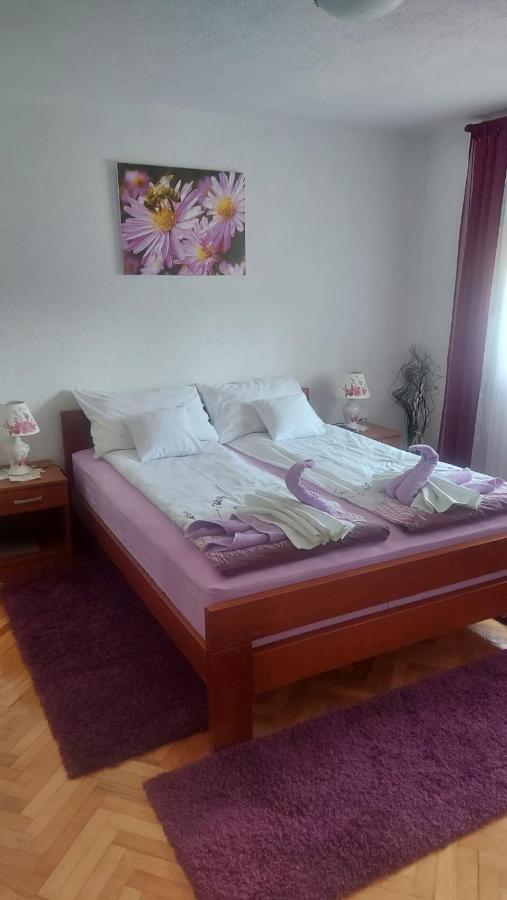 Apartments Zegarac House Korenica Extérieur photo