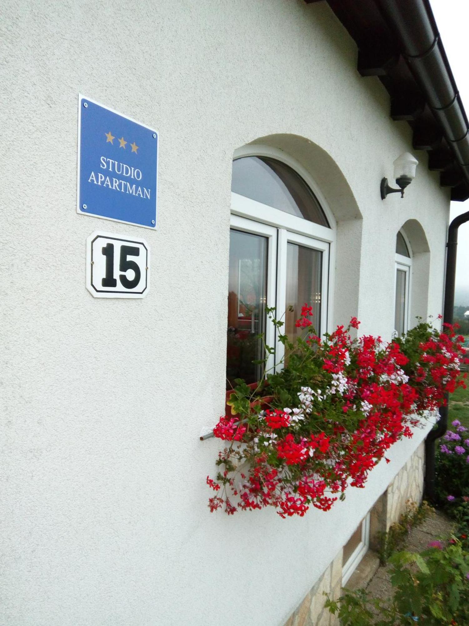 Apartments Zegarac House Korenica Extérieur photo