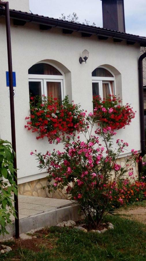 Apartments Zegarac House Korenica Extérieur photo